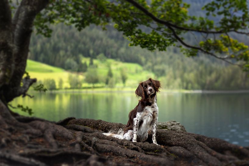 The Heidewachtel: An elegant guardian under the old tree by the fairytale lake by Marjolijn Vos