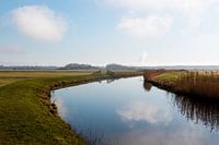 Polder