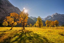 Big Maple Mountain by Einhorn Fotografie