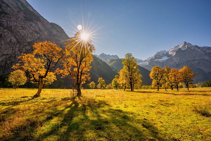 Big Maple Mountain by Einhorn Fotografie