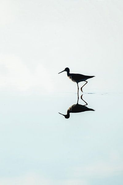 Spiegeling van een Steltloper in Stil Water van Femke Ketelaar