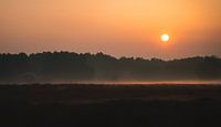 warm morning sun