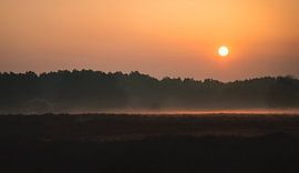 warm morning sun