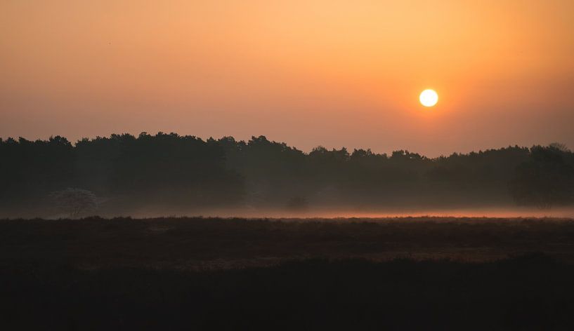 warm morning sun by Marijke Groos