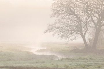 Calming fog landscape Drentsche Aa by Karla Leeftink