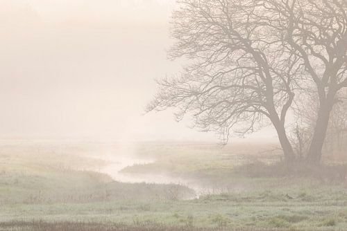 Calming fog landscape Drentsche Aa