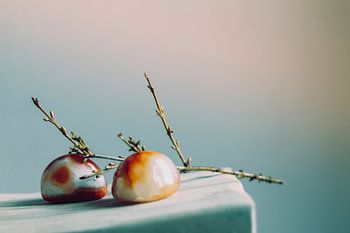 Stilleven/ Still Life