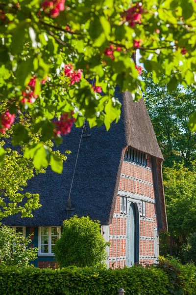 Fachwerkhaus, Ritterhude von Torsten Krüger