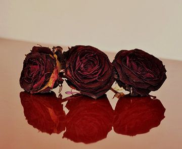 gespiegelde rode rozen  van Pyter de Roos