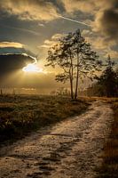 Hemels licht op de Sallandse Heuvelrug