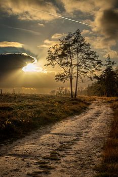 Himmlisches Licht auf dem Salland-Kamm