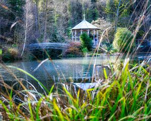 Pavillon du lac de la forêt