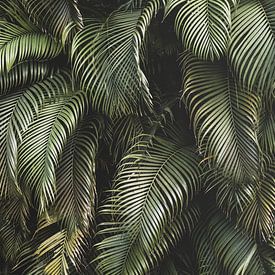 Palmeraie tropicale sur Roos Oosterbroek | hand painted prints en fotografie