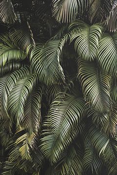 Tropisch palmen bos van Roos Oosterbroek | hand painted prints en fotografie
