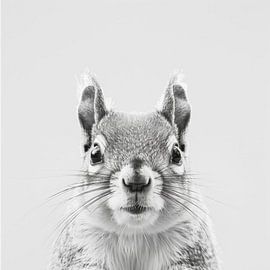 Eichhörnchen - Schwarzweißfotografie für Naturfreunde von Poster Art Shop