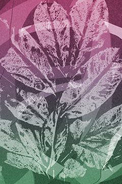 Weiße Blätter.  Moderne abstrakte botanische geometrische Kunst in rosa und grün von Dina Dankers