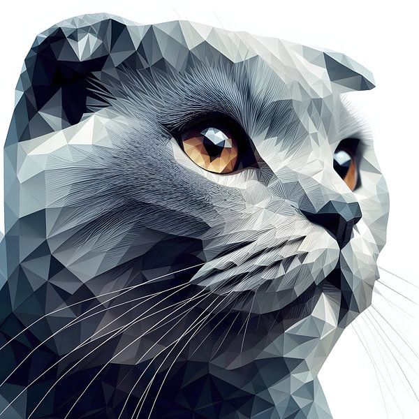 chat polygone Scottish Fold par Jessica Berendsen