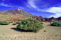 El Teide in Tenerife