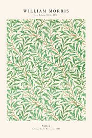 William Morris - Willow by Old Masters