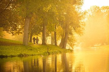Goldener Nebel in der Noorderplantsoen, Groningen
