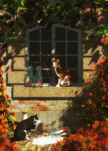 Katten – Katten die op meer melk wachten