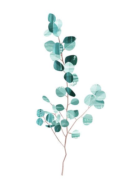 Eucalyptus by Goed Blauw