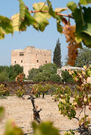 Kolossi Cyprus by Richard Wareham