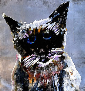 Alte Katze
