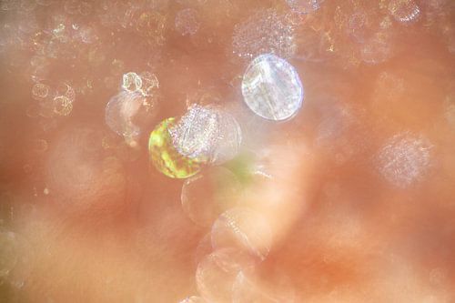 Oranje Abstract met Cirkels