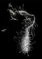 Scribble Art