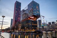 La pomme rouge de Rotterdam