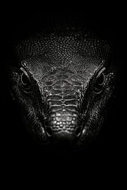 Crocodile by Poster Art Shop