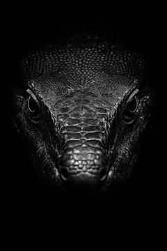 Krokodil van Poster Art Shop