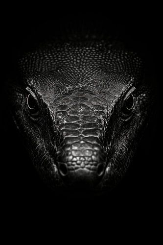 Krokodil