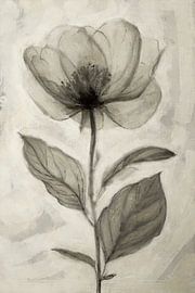 Simple Harmony | Taupe by Kanzo