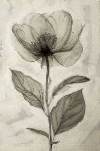 Eenvoudige Harmonie | Taupe