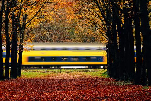 NS meets autumn