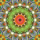 Mandala voorjaarskleuren blokken van Marion Tenbergen thumbnail
