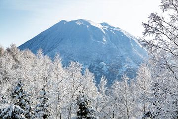 Vulkaan en besneeuwde bomen