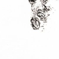 Air flies into water