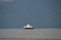 Ferry in Noorwegen