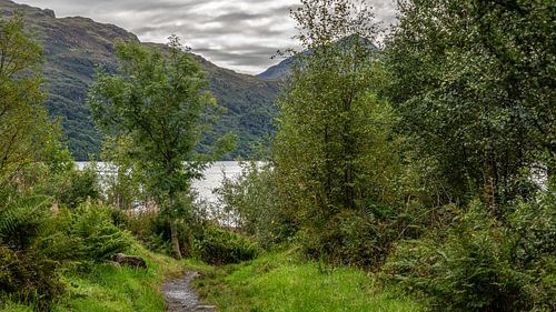 Scotland's amazing mountains