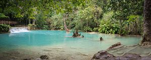 Wasserbecken am Kuang Si Wasserfall, Laos