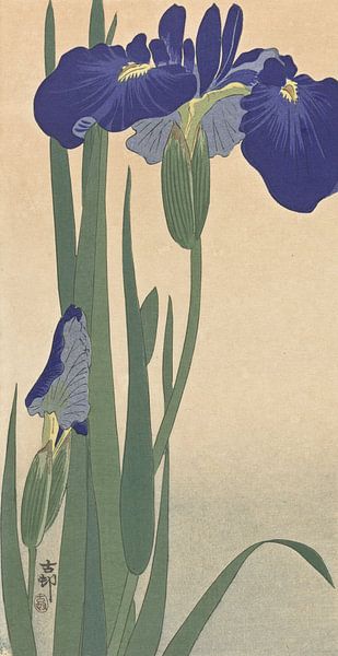 Blue Irises, Ohara Koson by Masterful Masters
