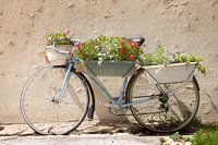 Fahrrad mit Blumen in der Provence