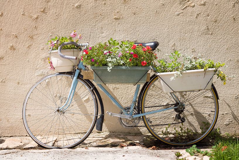 Fiets met bloemen in de Provence 2 van Everards Photography