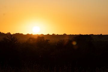 Sunrise, Krugerpark van Cassey Lauvenberg