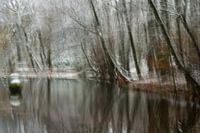 Reflections