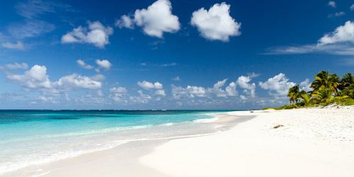 Plage sans fin