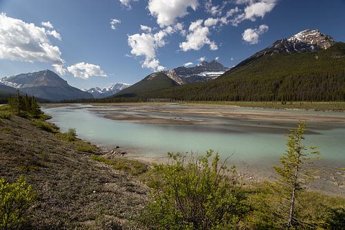 IceFields Parkway
